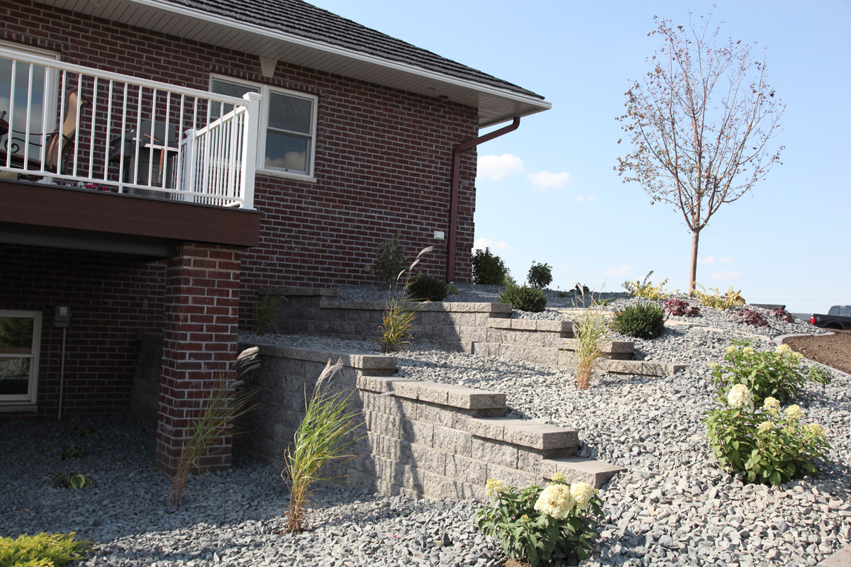 Newly planted perennials and shrubs with trap rock